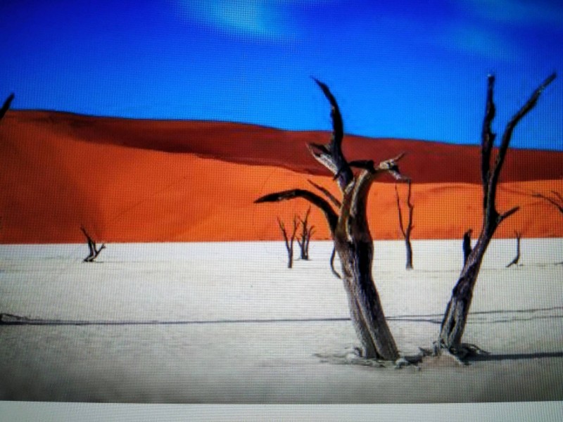 Agence de voyage de luxe sur mesure à Toulouse